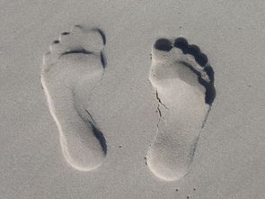宝宝甲沟炎化脓了怎么排脓要不要拔甲? 宝宝甲沟炎化脓了怎么排脓要不要拔甲?